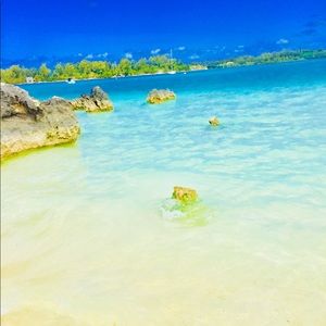 Meet your Posher, Molly